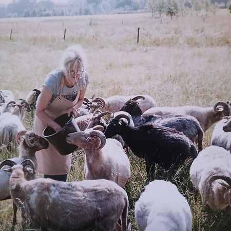 Pipowagen Elsebein Groningen Westerwolde Unieke Ligging Met Eigen Tuin En Vrij Uitzicht Over Veld Naar Natuurgebied Onstwedde Dış mekan fotoğraf