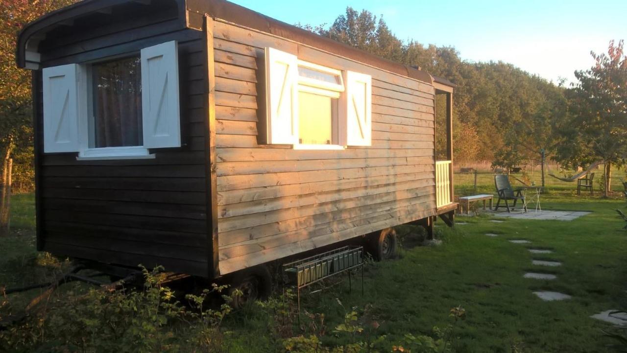 Pipowagen Elsebein Groningen Westerwolde Unieke Ligging Met Eigen Tuin En Vrij Uitzicht Over Veld Naar Natuurgebied Onstwedde Dış mekan fotoğraf