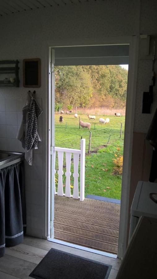 Pipowagen Elsebein Groningen Westerwolde Unieke Ligging Met Eigen Tuin En Vrij Uitzicht Over Veld Naar Natuurgebied Onstwedde Dış mekan fotoğraf