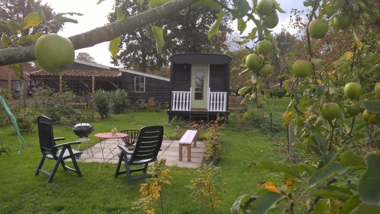 Pipowagen Elsebein Groningen Westerwolde Unieke Ligging Met Eigen Tuin En Vrij Uitzicht Over Veld Naar Natuurgebied Onstwedde Dış mekan fotoğraf