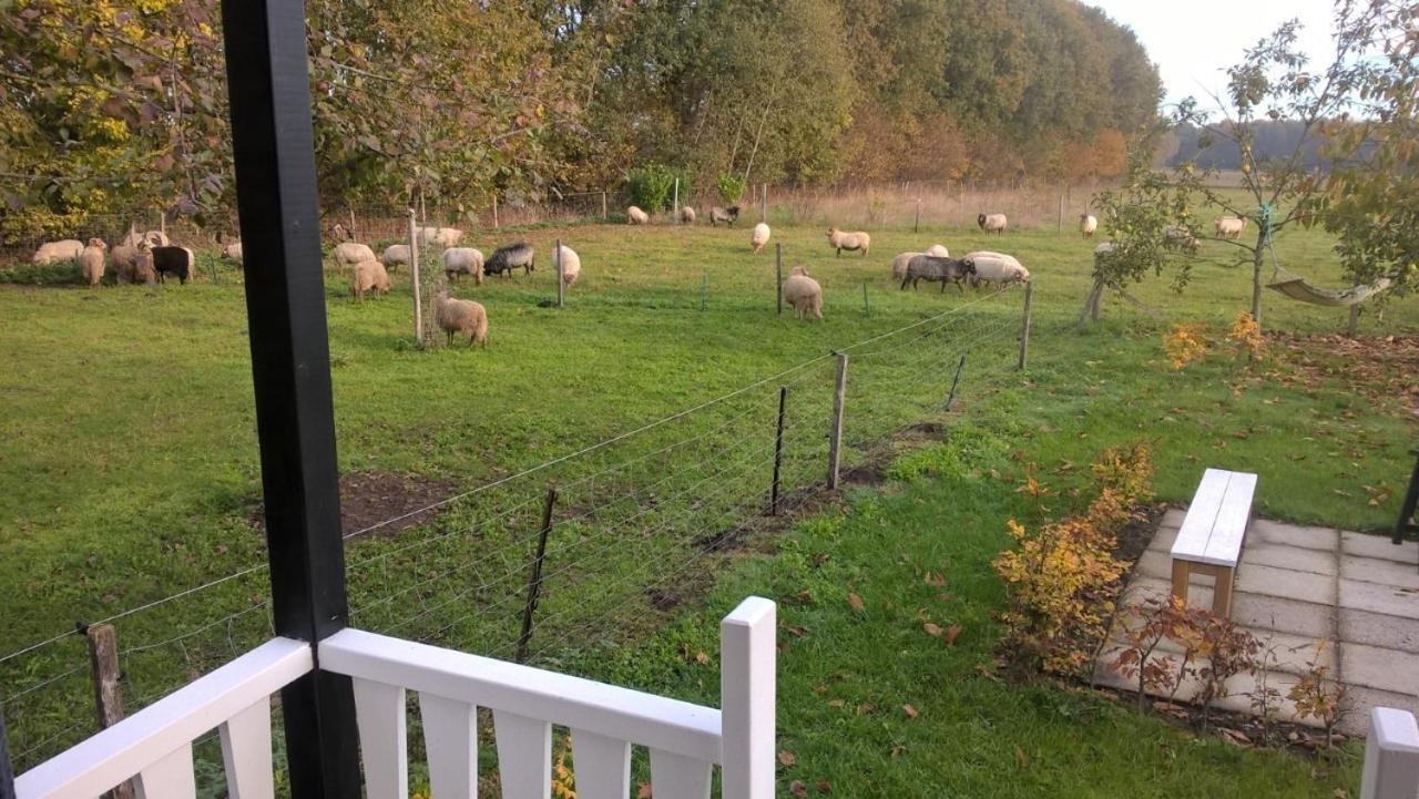 Pipowagen Elsebein Groningen Westerwolde Unieke Ligging Met Eigen Tuin En Vrij Uitzicht Over Veld Naar Natuurgebied Onstwedde Dış mekan fotoğraf