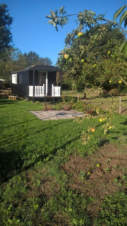Pipowagen Elsebein Groningen Westerwolde Unieke Ligging Met Eigen Tuin En Vrij Uitzicht Over Veld Naar Natuurgebied Onstwedde Dış mekan fotoğraf