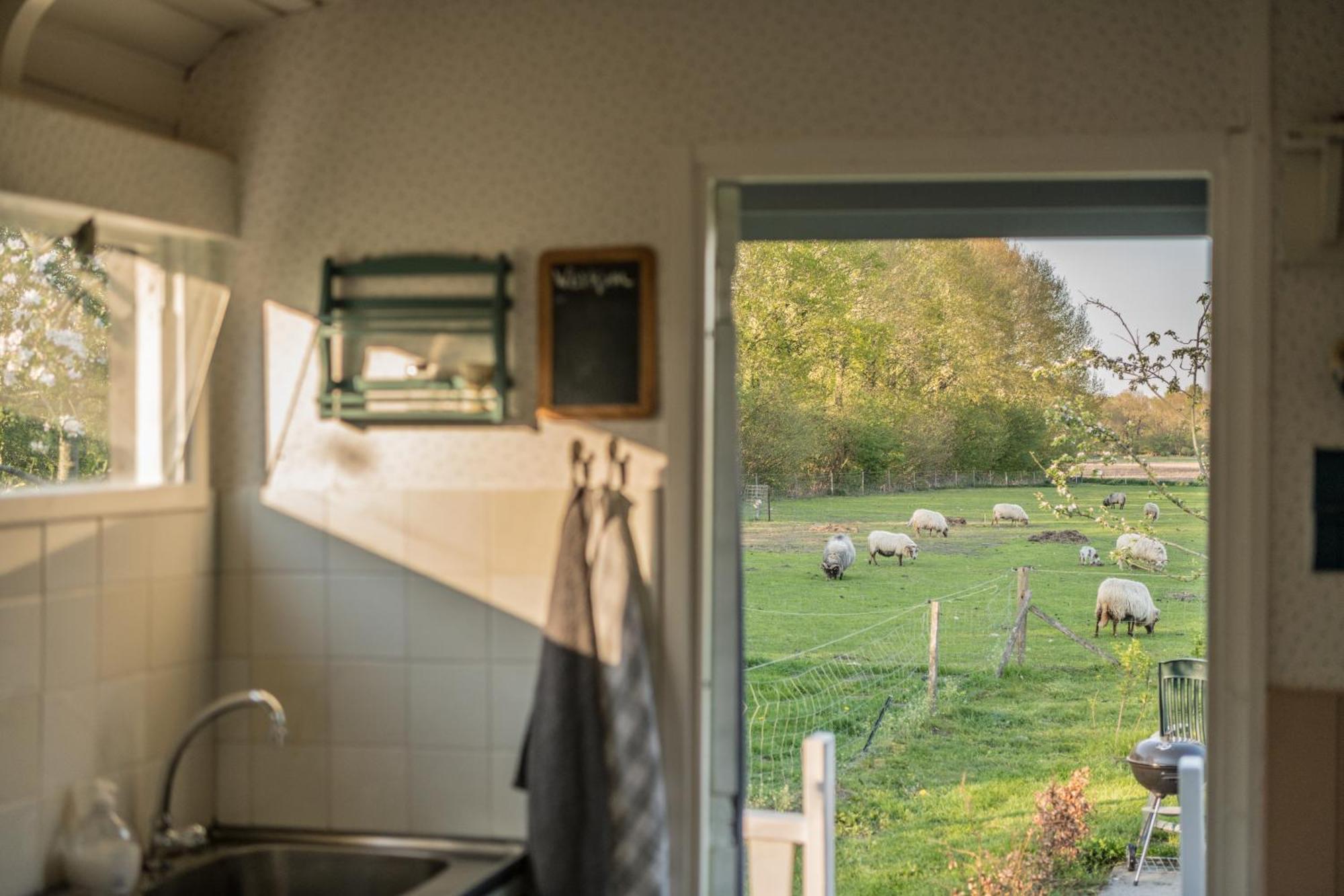 Pipowagen Elsebein Groningen Westerwolde Unieke Ligging Met Eigen Tuin En Vrij Uitzicht Over Veld Naar Natuurgebied Onstwedde Dış mekan fotoğraf
